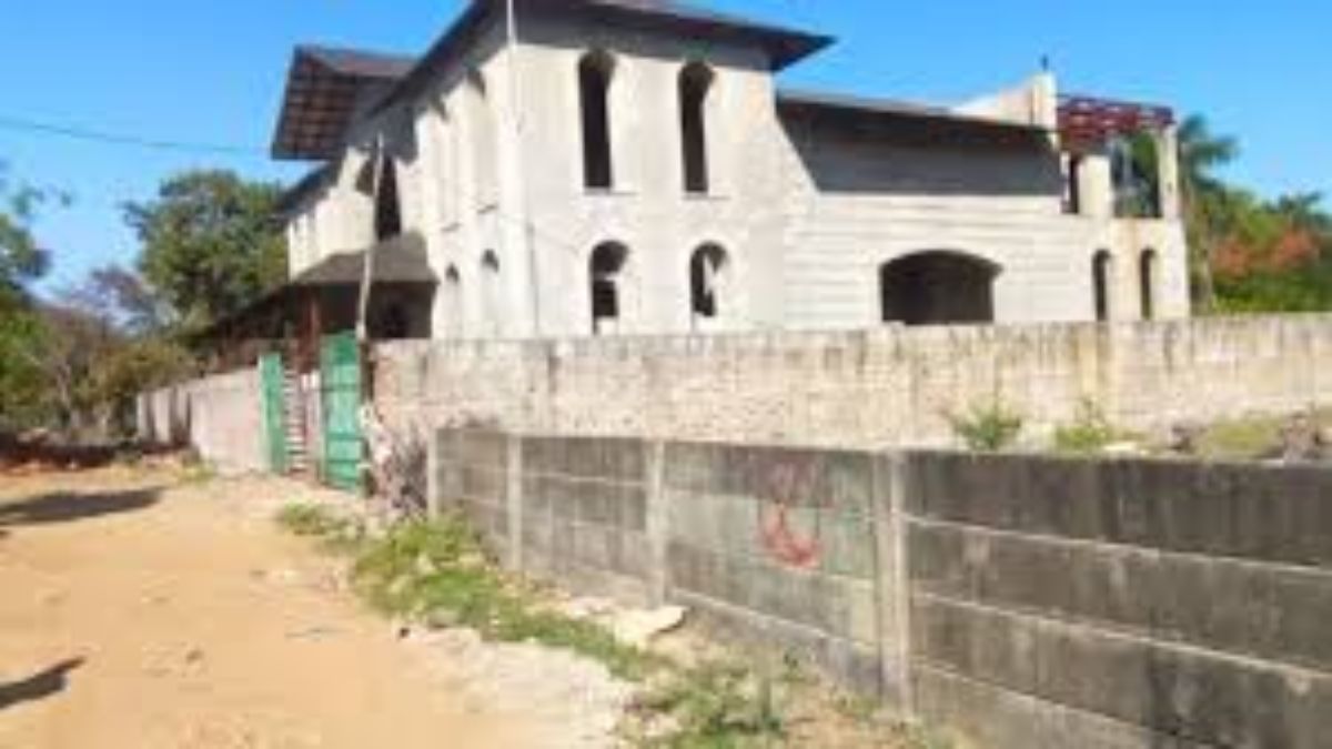 naidunia_image